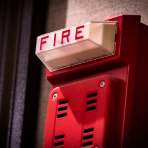 Shutterstock_1334762066